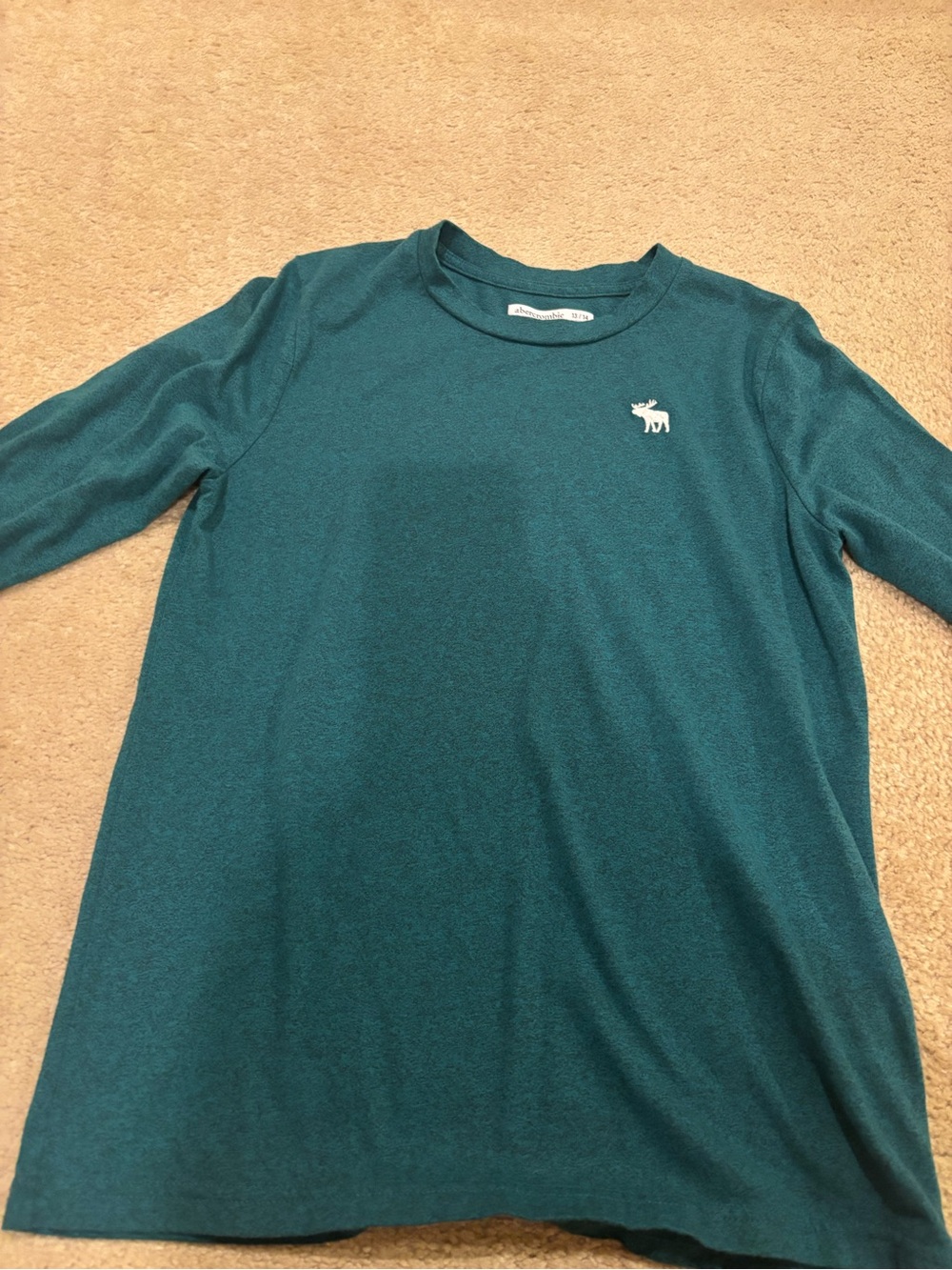 abercrombie kids teal long sleeve logo tee shirt